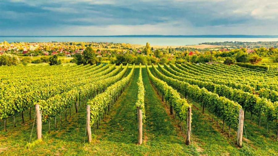 Silver Delux Apartman Balatonfured Luaran gambar